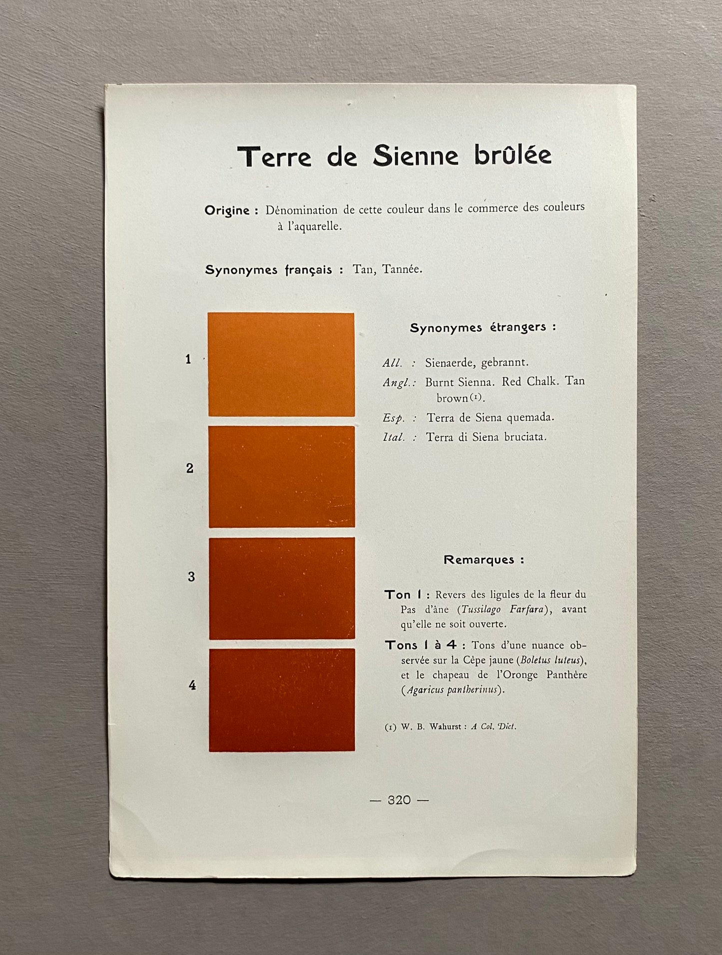 Orange/Brown/Terracotta. Colour Charts. Four Plates From Le Repetoire Des Planches by Dauthenay. French. Published in 1909. 24 x 16 cms.