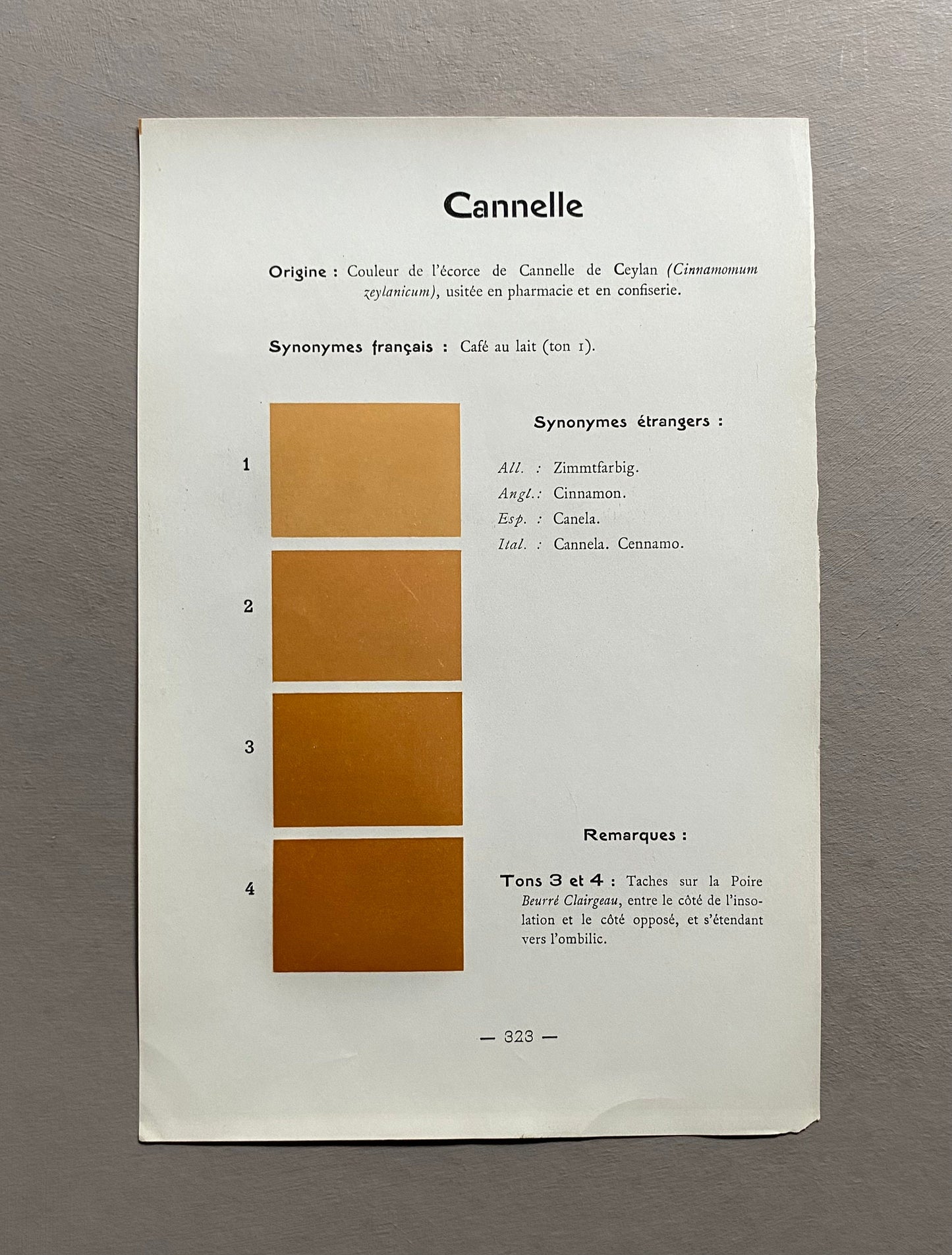 Orange/Brown/Terracotta. Colour Charts. Four Plates From Le Repetoire Des Planches by Dauthenay. French. Published in 1909. 24 x 16 cms.
