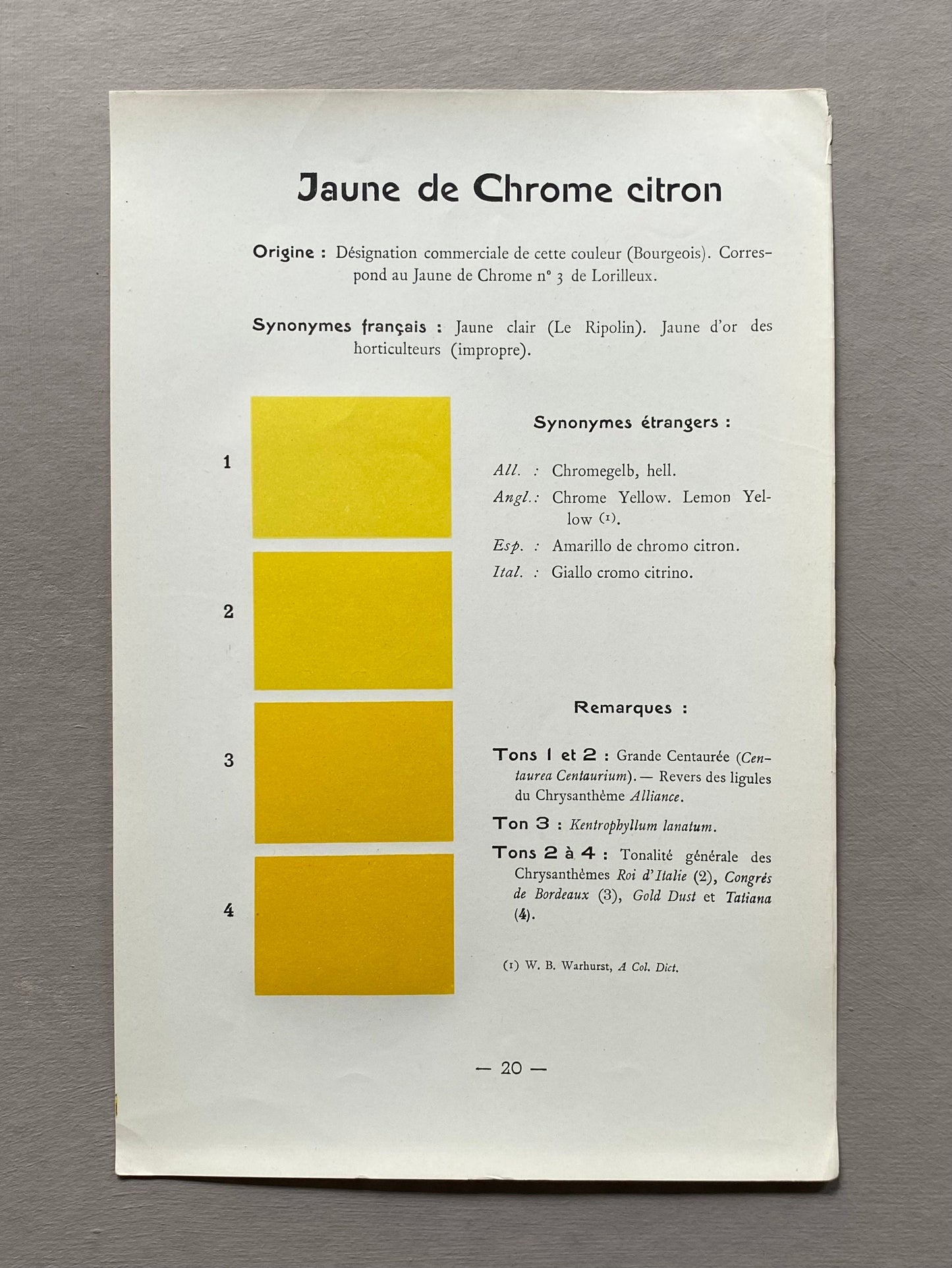 Yellow. Colour Charts. Six Plates From Le Repetoire Des Planches by Dauthenay. French. Published in 1909. 24 x 16 cms each.
