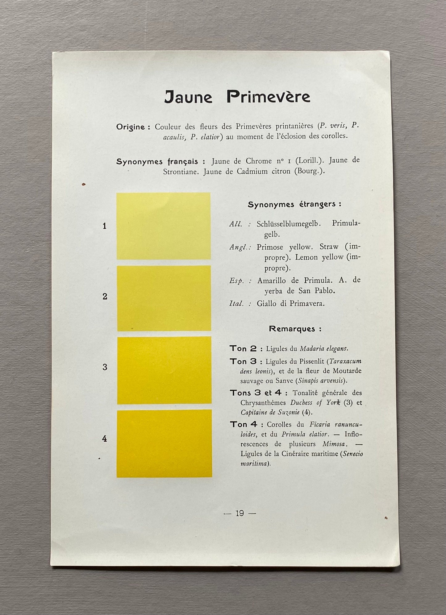 Yellow. Colour Charts. Six Plates From Le Repetoire Des Planches by Dauthenay. French. Published in 1909. 24 x 16 cms each.