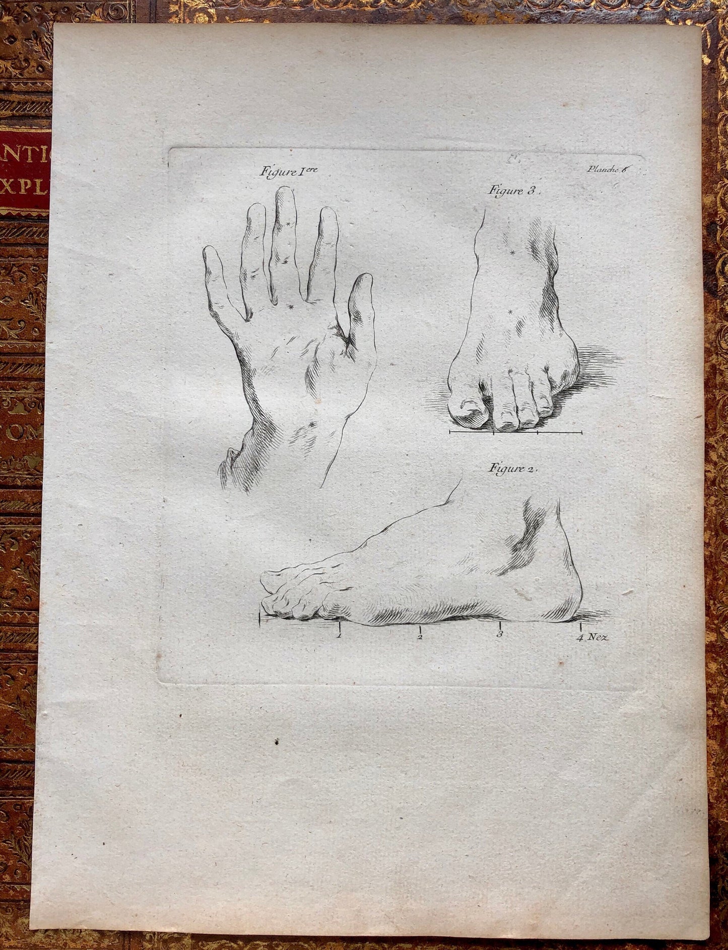 An Engraving from The ‘Nouvelle Methode Pour Apprendre a Dessiner Sans Maitre”. French. 1740. Size 29 x23 cms