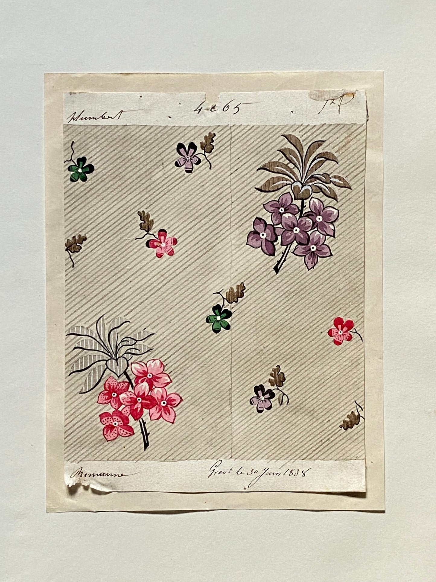 A Genuine 19th Century handpainted French Textile Design. Dated 1938. Mounted on Antique Paper. Size: 12 x 16 cm