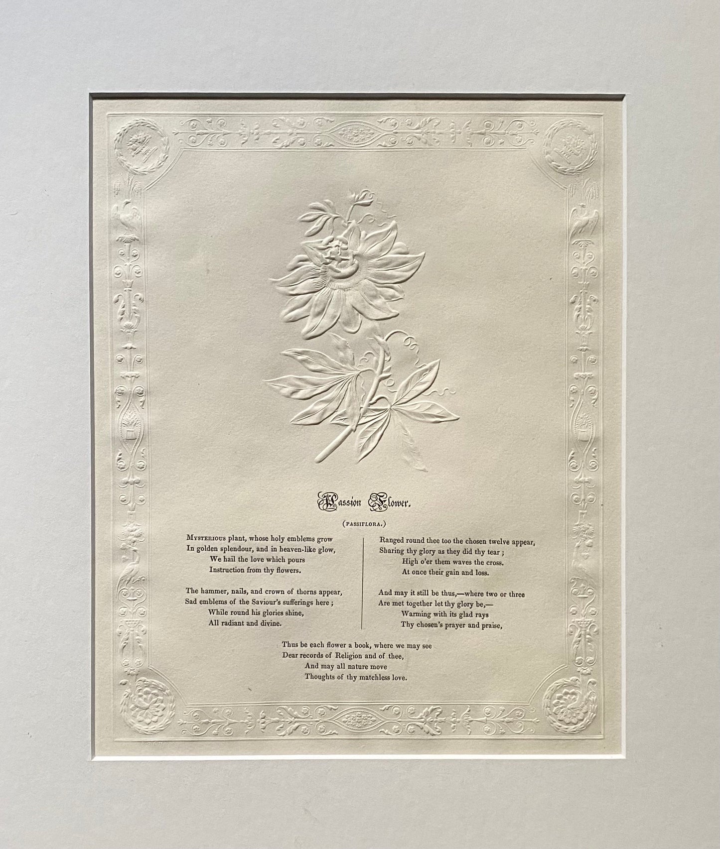 Passion Flower. An Antique Embossed Paper Image. With Poem in Black Script. Framed Using Clear Glass in a Limed Frame. Size: 35 x 30.5 cms.