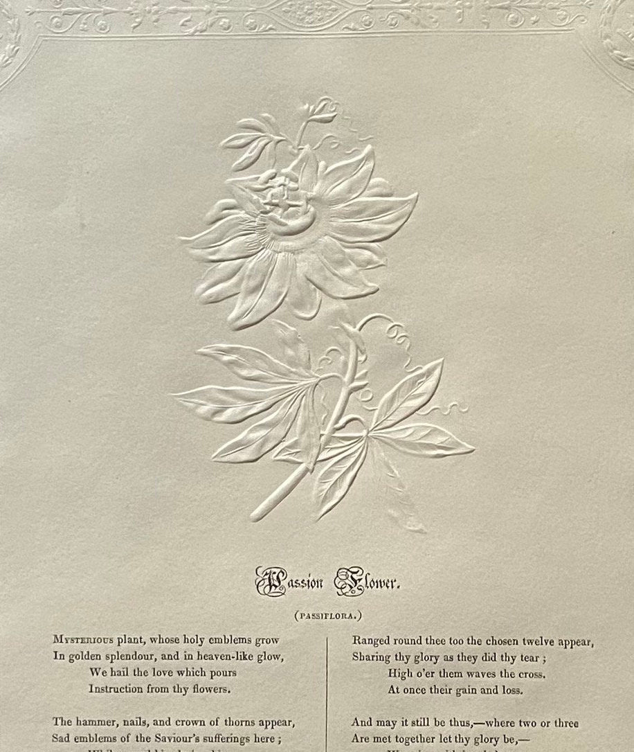 Passion Flower. An Antique Embossed Paper Image. With Poem in Black Script. Framed Using Clear Glass in a Limed Frame. Size: 35 x 30.5 cms.