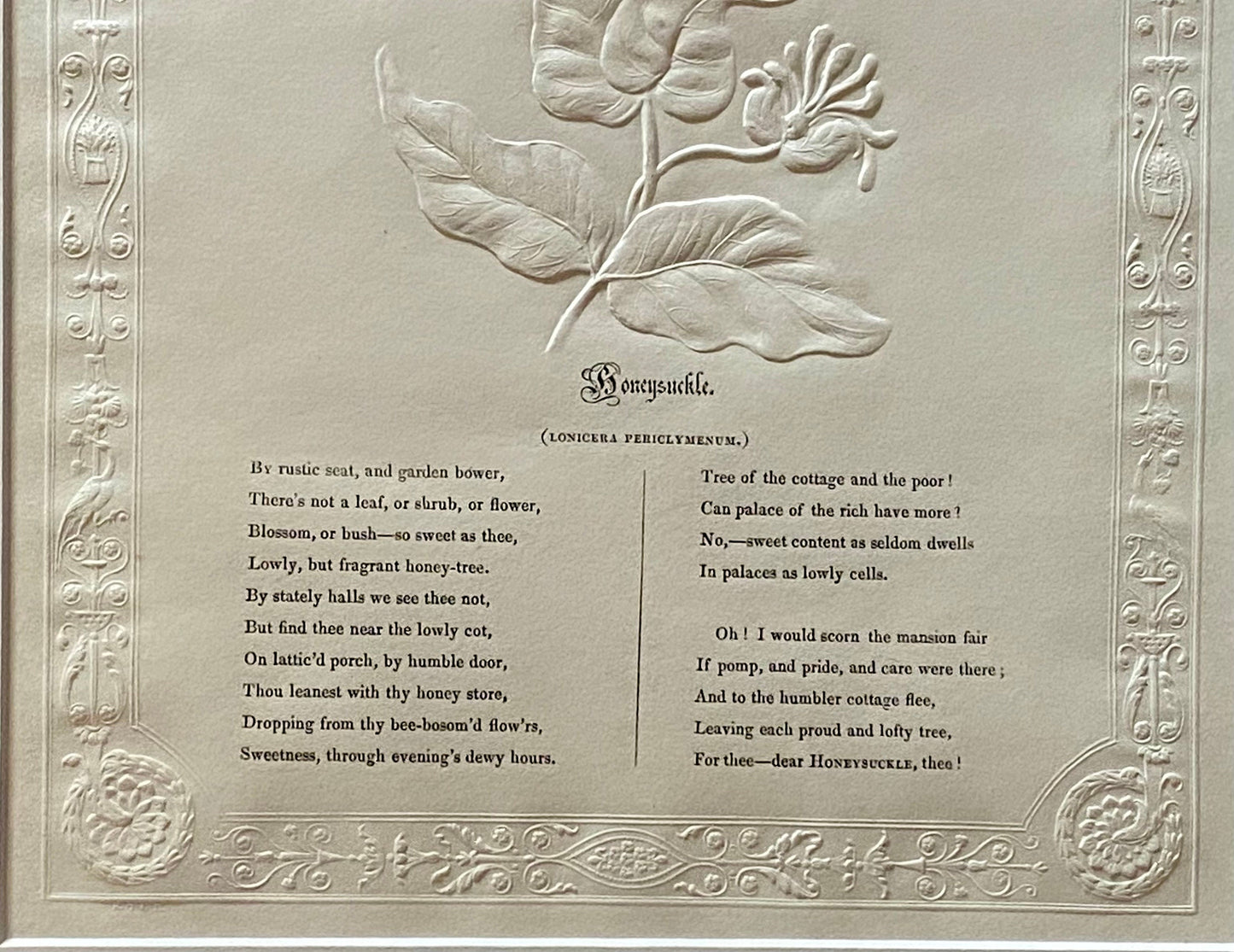 Honeysuckle. An Antique Embossed Paper Image. With Poem in Black Script. Framed Using Clear Glass in a Limed Frame. Size: 35 x 30.5 cms.