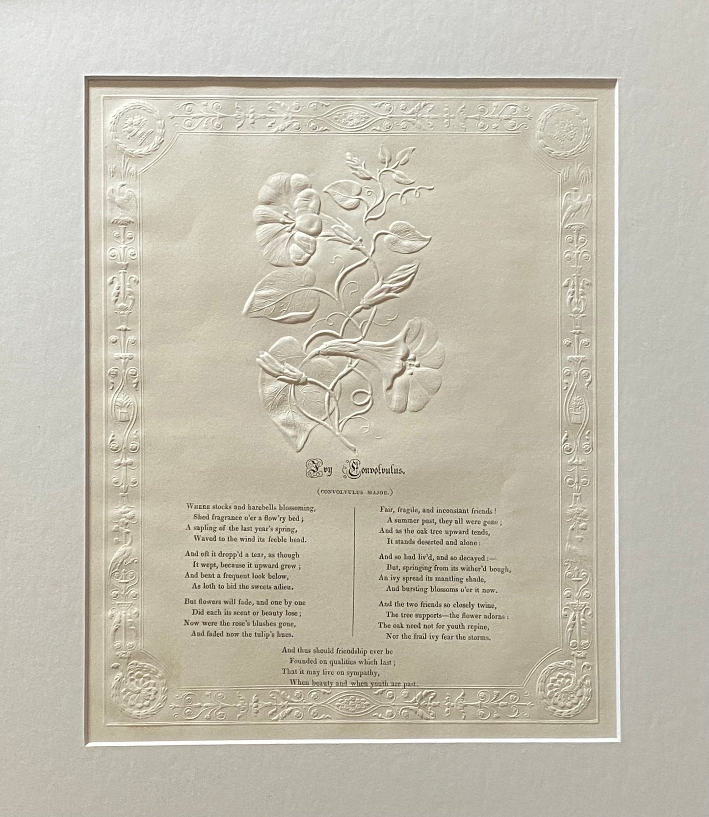 Ivy Conconvulus. An Antique Embossed Paper Image. With Poem in Black Script. Framed Using Clear Glass in a Limed Frame. Size: 35 x 30.5 cms.