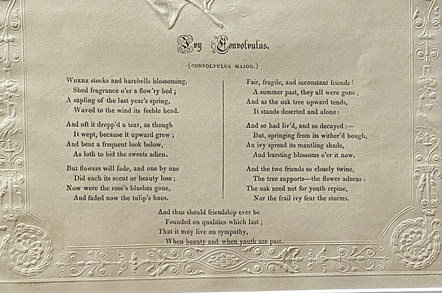 Ivy Conconvulus. An Antique Embossed Paper Image. With Poem in Black Script. Framed Using Clear Glass in a Limed Frame. Size: 35 x 30.5 cms.