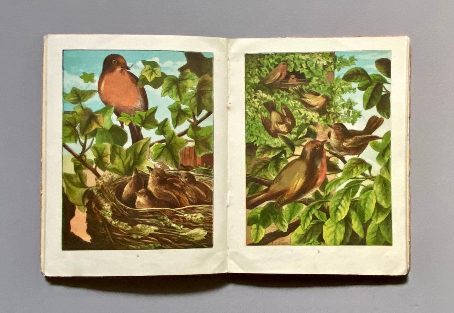 Home Favourites. Four Stories. Thirty-two Full Page Illustrations. Published by Frederick Warne Circa 1875. Size: 25 x 19 cms.
