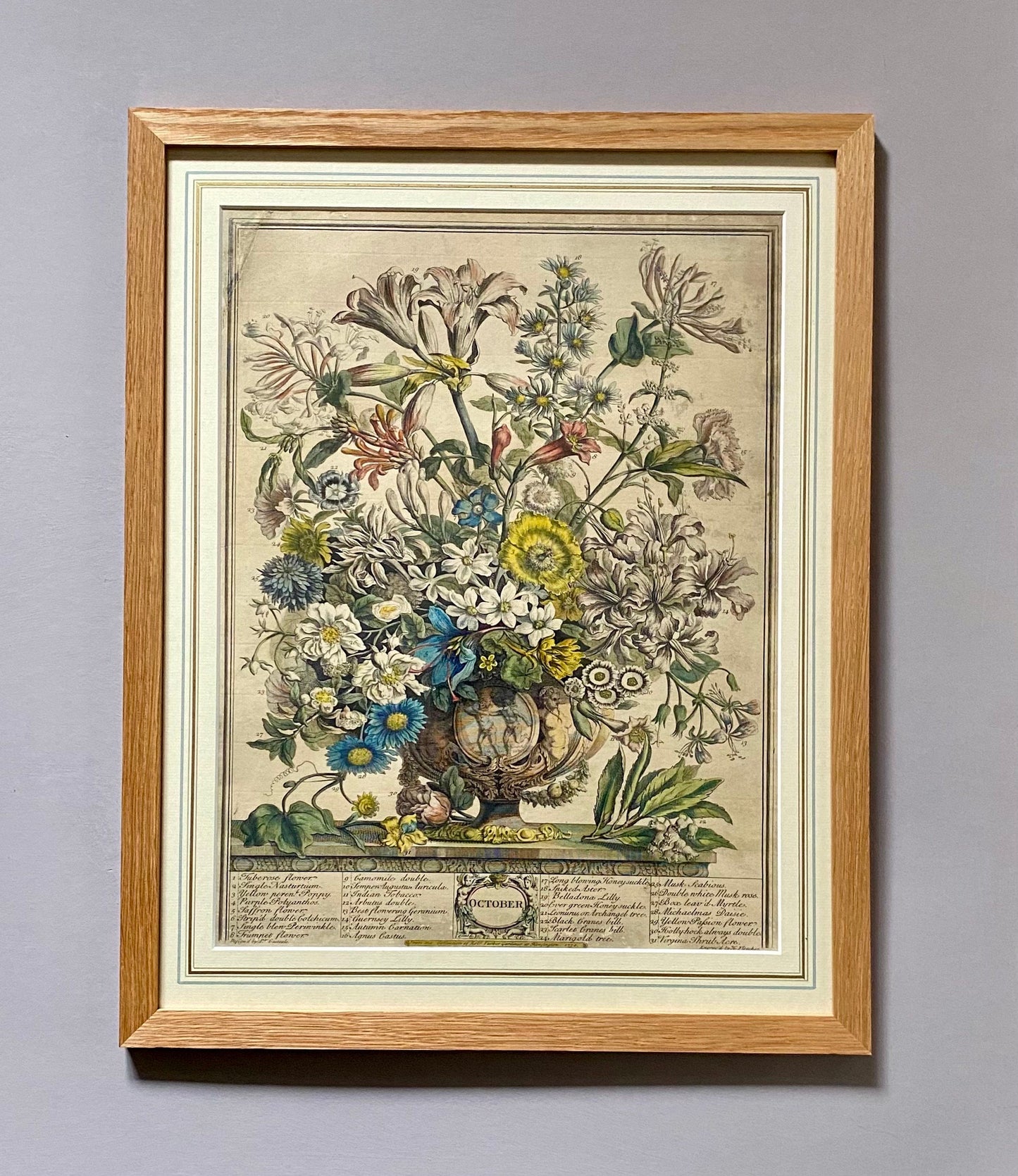 Robert Furber’s 12 Months of Flowers. A Rare and genuine Set from 1730. Engraved by Henry Fletcher. Size in Frame: 40.8 x 51.4 cms.