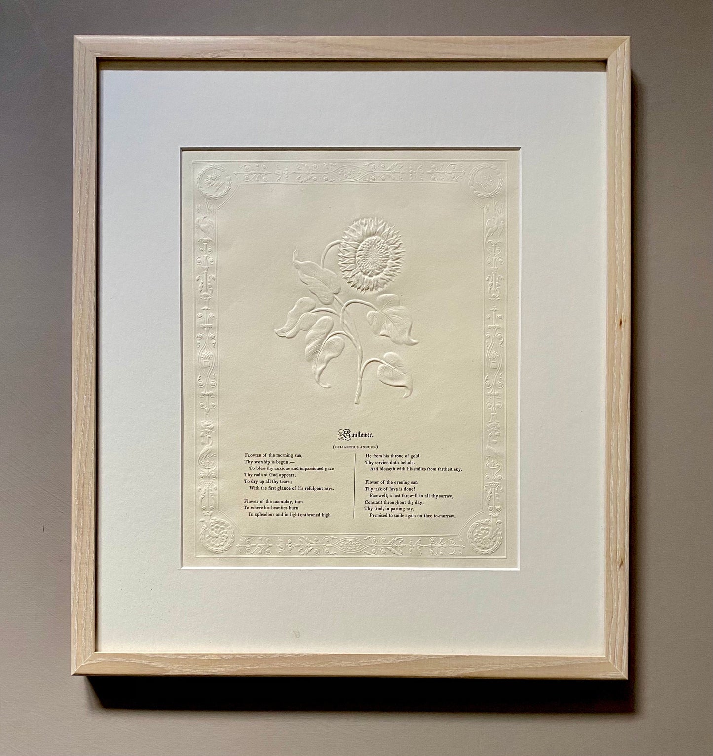Sunflower. An Antique Embossed Paper Image. With Poem in Black Script. Framed Using Clear Glass in a Limed Frame. Size: 35 x 30.5 cms.
