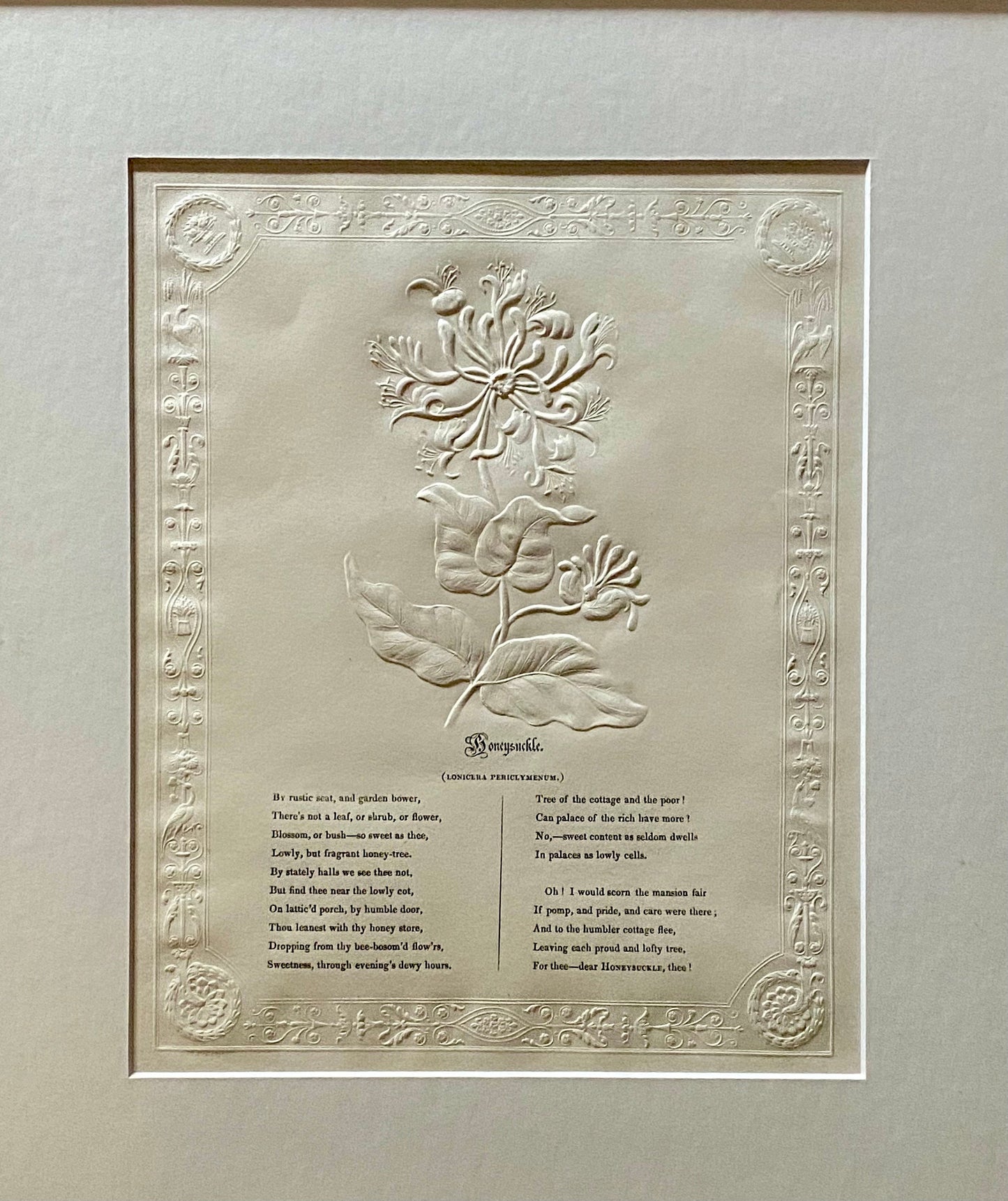 Honeysuckle. An Antique Embossed Paper Image. With Poem in Black Script. Framed Using Clear Glass in a Limed Frame. Size: 35 x 30.5 cms.
