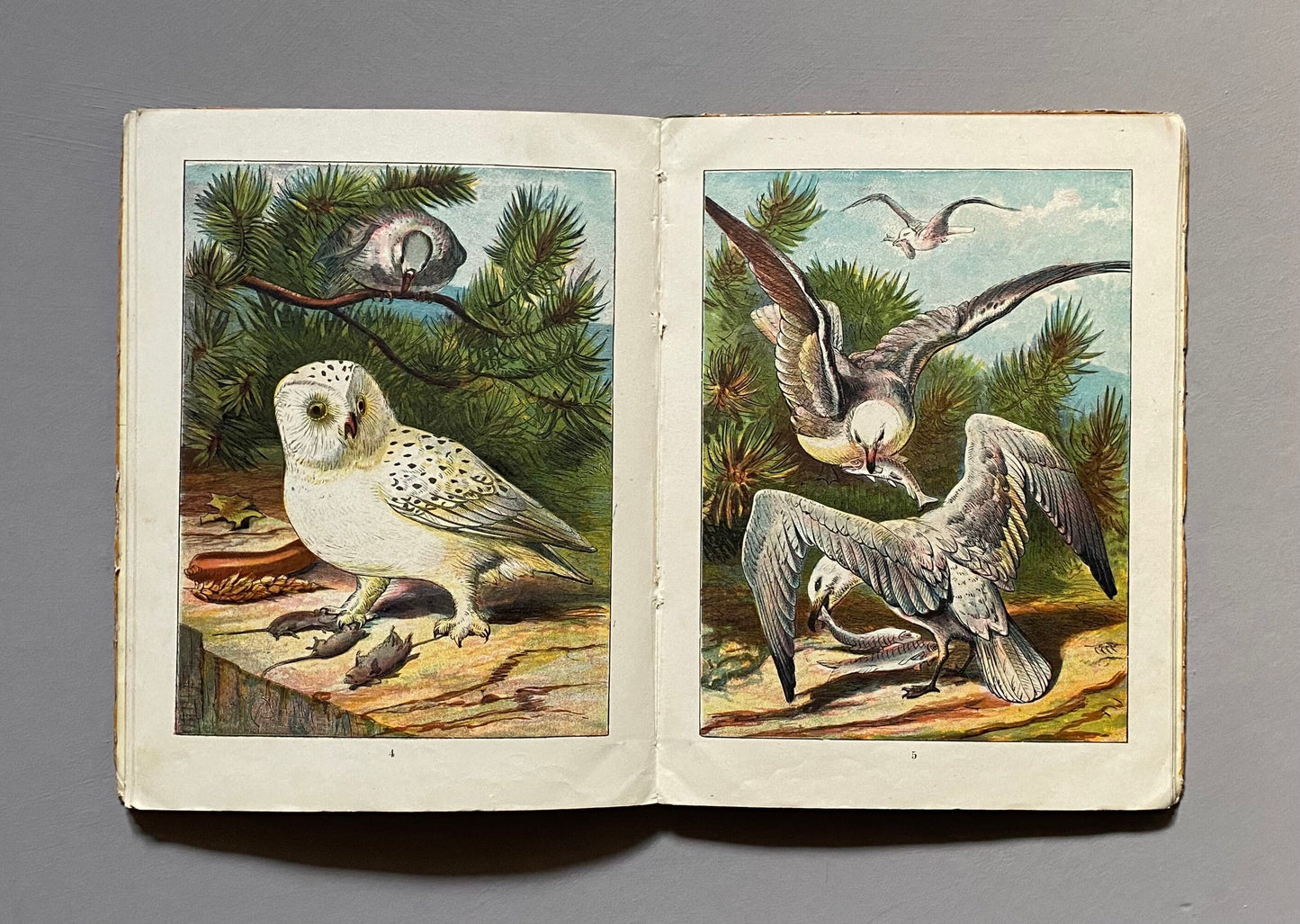 Home Favourites. Four Stories. Thirty-two Full Page Illustrations. Published by Frederick Warne Circa 1875. Size: 25 x 19 cms.