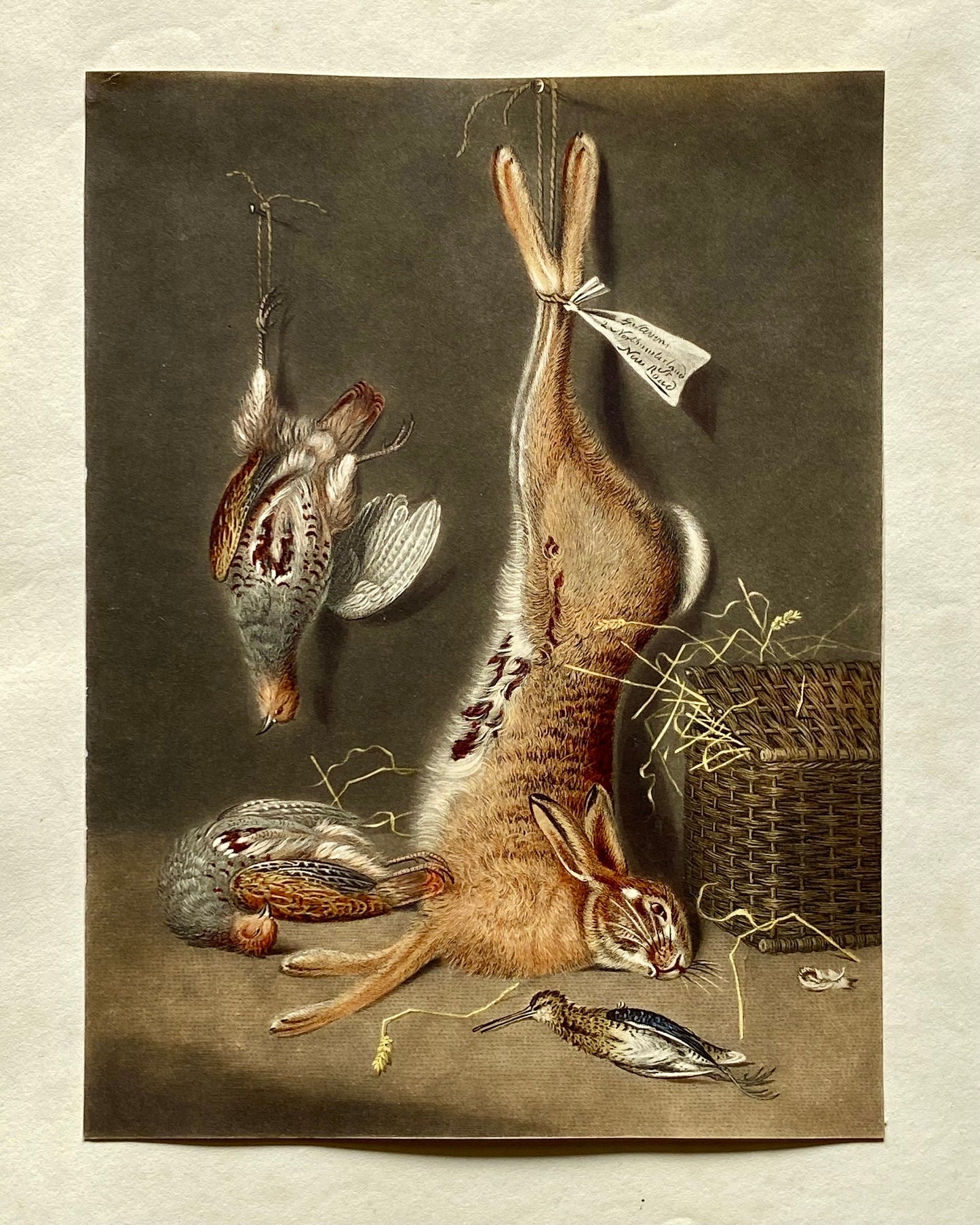 Game Birds and a Hare. A Finely Painted Engraving. Watercolour. Late 1800s. Size: 20.4 x 15.3 cms.