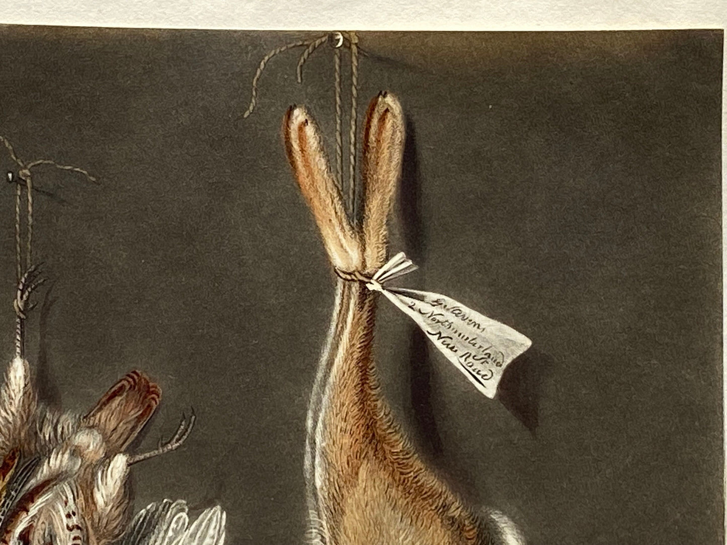 Game Birds and a Hare. A Finely Painted Engraving. Watercolour. Late 1800s. Size: 20.4 x 15.3 cms.
