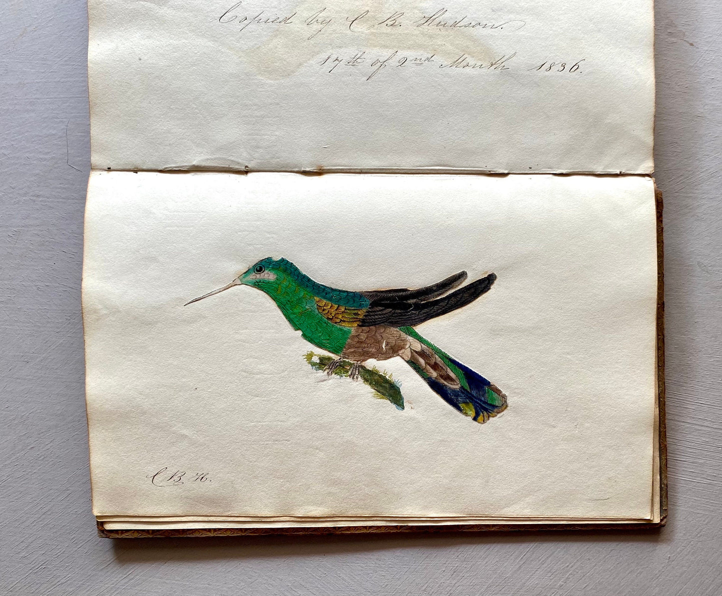 A Scrapbook From The Early 1800s. Watercolours, Drawings and Decorative Script. Size: 12.3 x 20.5 cms.