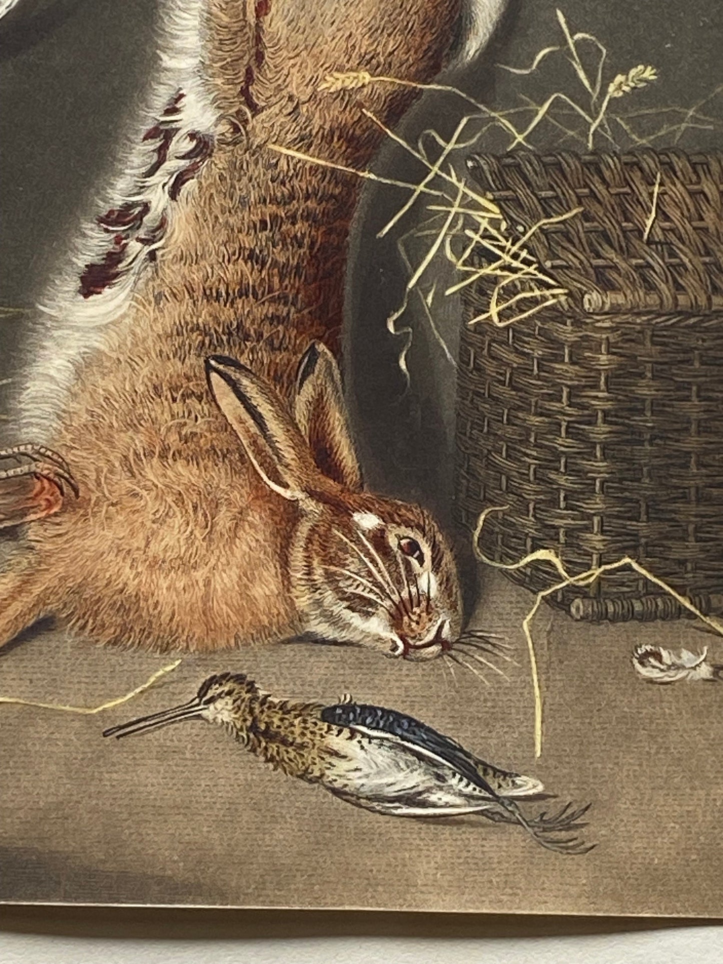 Game Birds and a Hare. A Finely Painted Engraving. Watercolour. Late 1800s. Size: 20.4 x 15.3 cms.