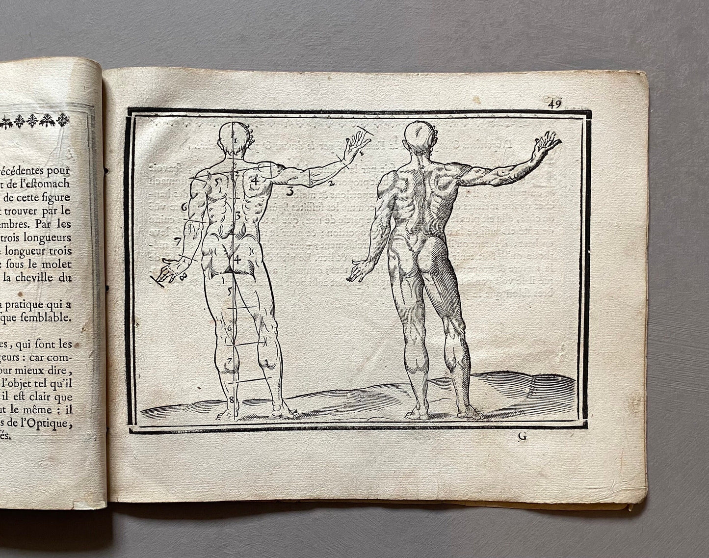 L’Art De Dessiner. The Art of Drawing. By Jean Cousin. With 28 Engravings. Dated 1750. Size: 20 x 26 cms