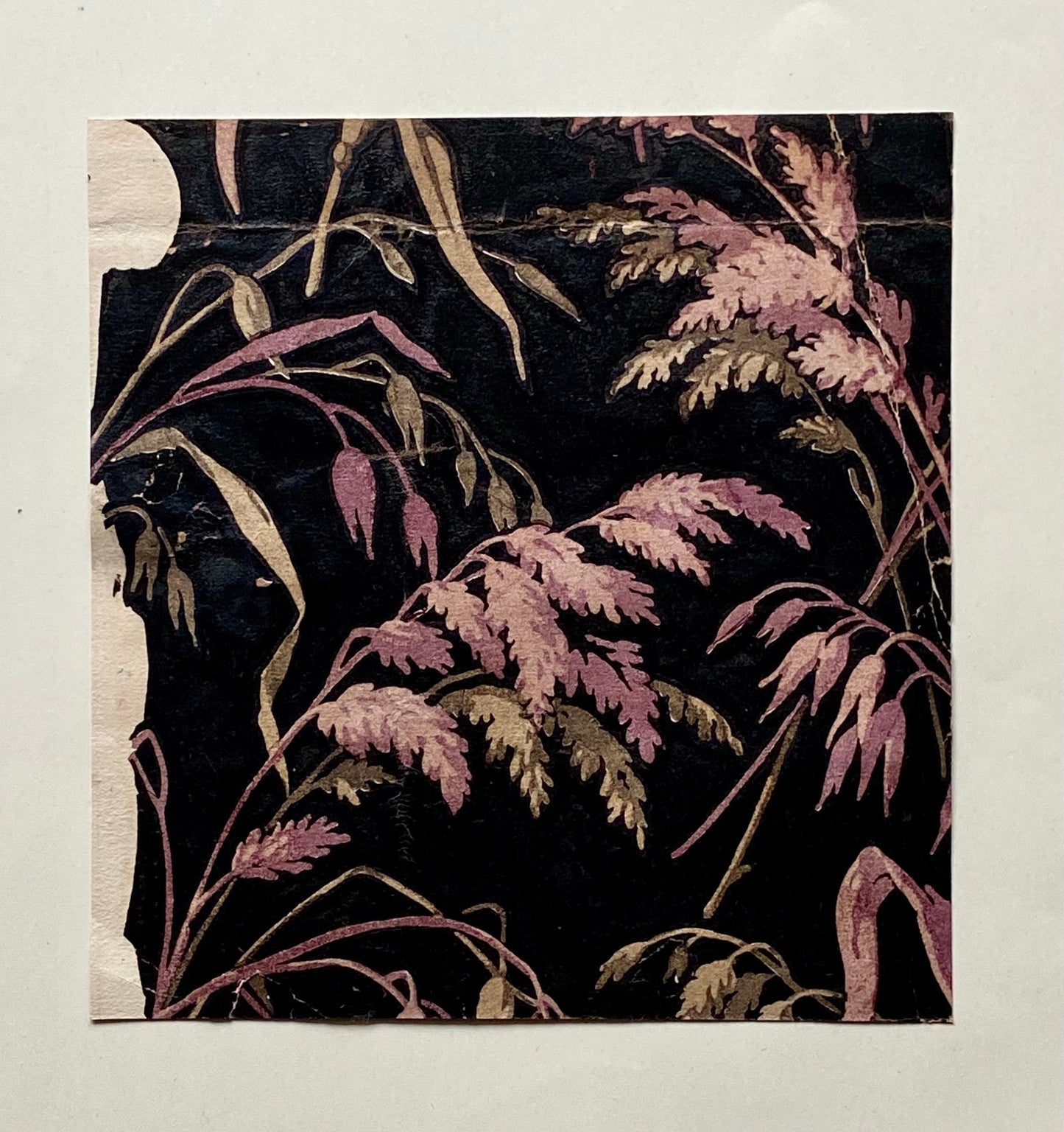 Grasses on a Black Ground. A Genuine 19th Century French Textile Design. Dated 1837. Mounted on Antique Paper. 17.7 x 17 cms.