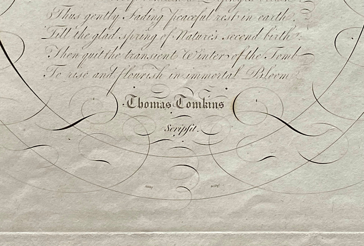 To A Young Lady. Calligraphy by Thomas Tomkins. From The Beauties of Writing. Published in 1808. Size: 28 x 43.7 cms