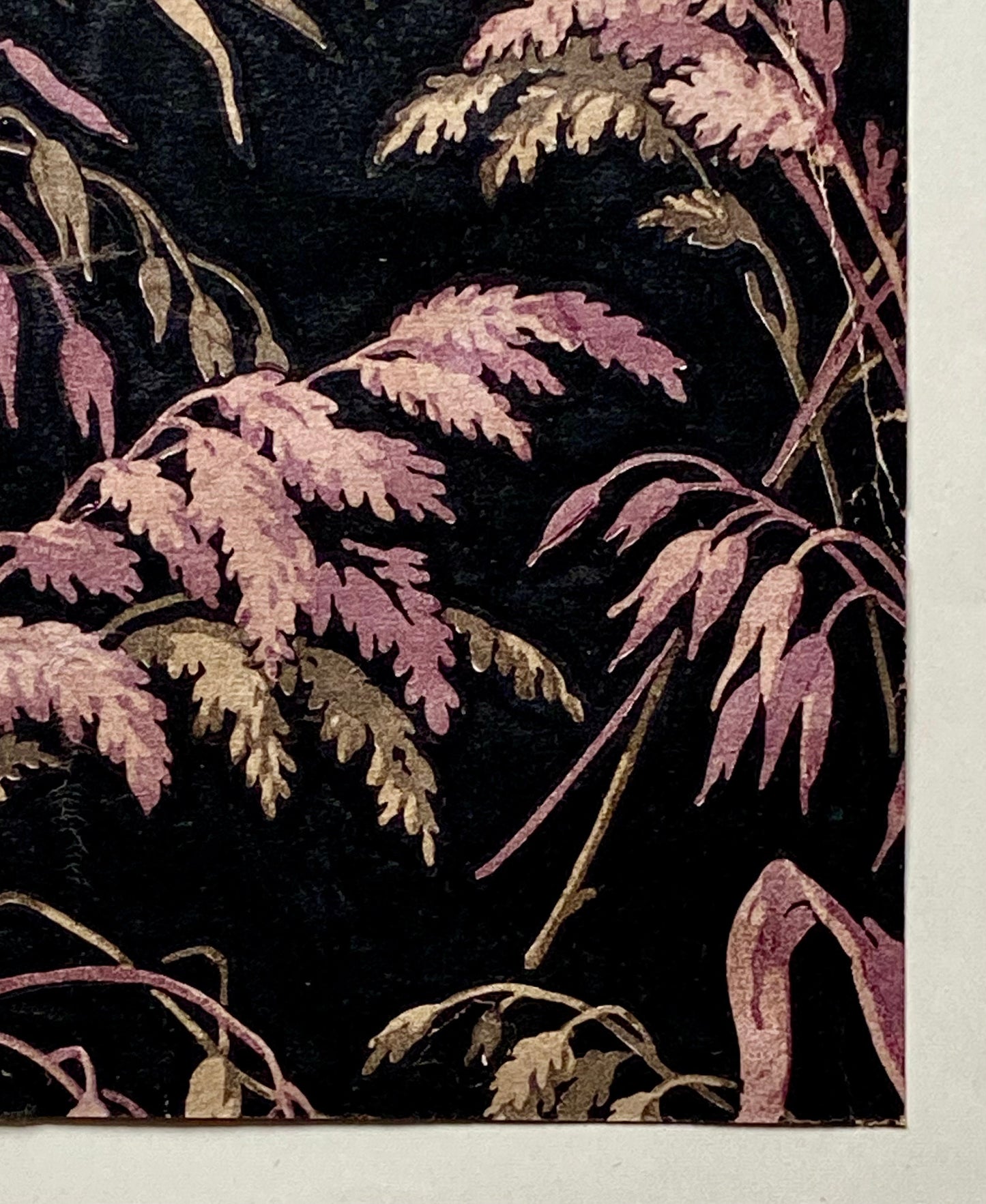 Grasses on a Black Ground. A Genuine 19th Century French Textile Design. Dated 1837. Mounted on Antique Paper. 17.7 x 17 cms.