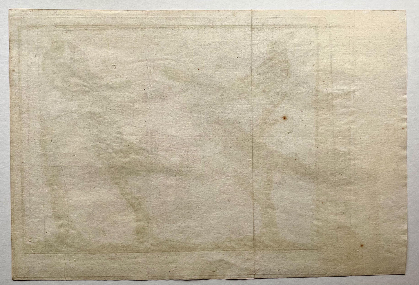 A Copper Plate Engraving. Four Types of Sparrow. French. By Francois-Nicholas Martinet. Hand coloured. Dated 1770. 25 x 37 cms.