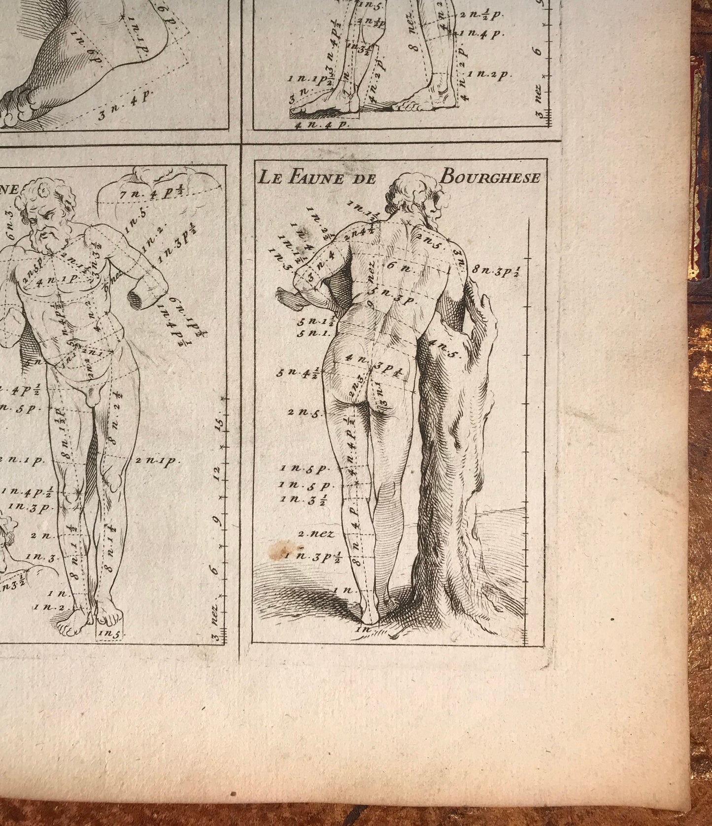 An Original Engraving from the ‘Nouvelle Methode Pour Apprendre a Dessiner Sans Maitre”. French. 1740. Size 29 x23 cms