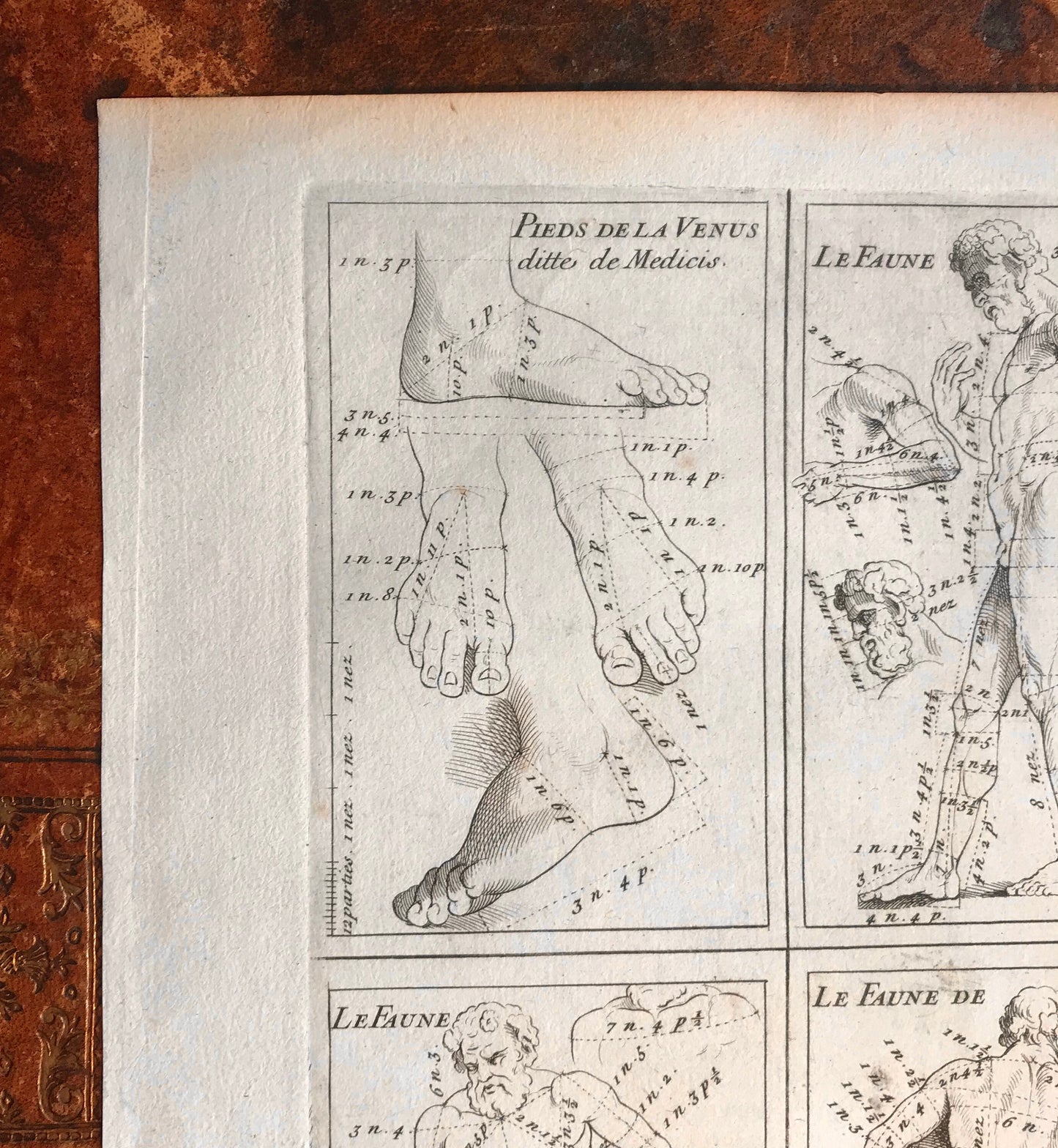 An Original Engraving from the ‘Nouvelle Methode Pour Apprendre a Dessiner Sans Maitre”. French. 1740. Size 29 x23 cms