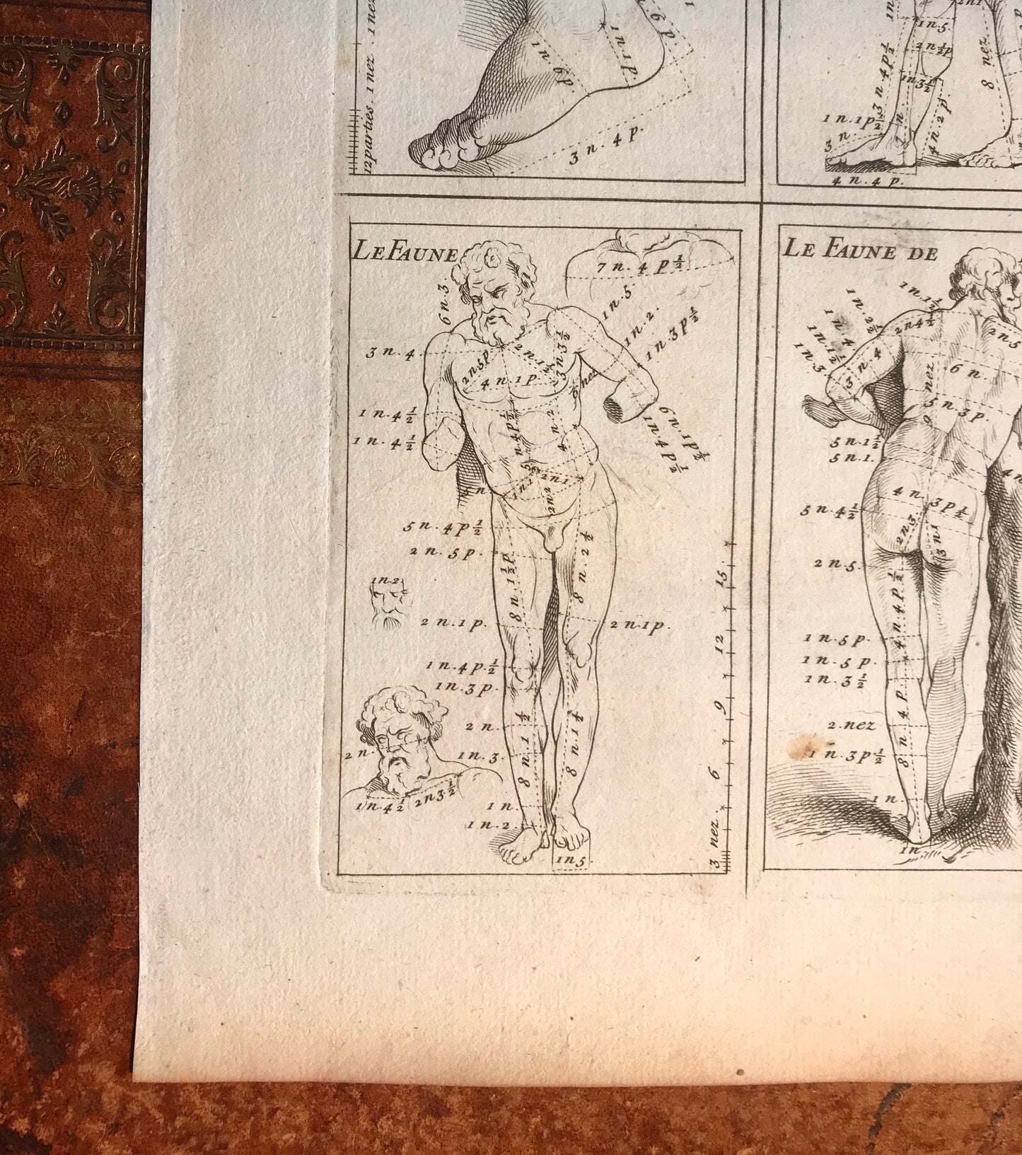 An Original Engraving from the ‘Nouvelle Methode Pour Apprendre a Dessiner Sans Maitre”. French. 1740. Size 29 x23 cms