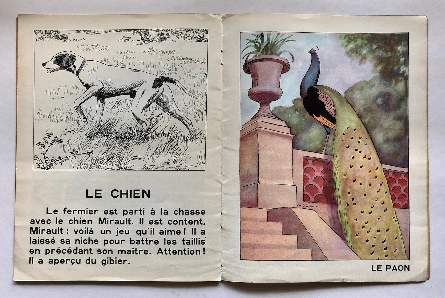 ABC Des Betes Familiar. An ABC of Familiar Animals. With illustrations by A Roubill. Size: 31 x 24 cms.