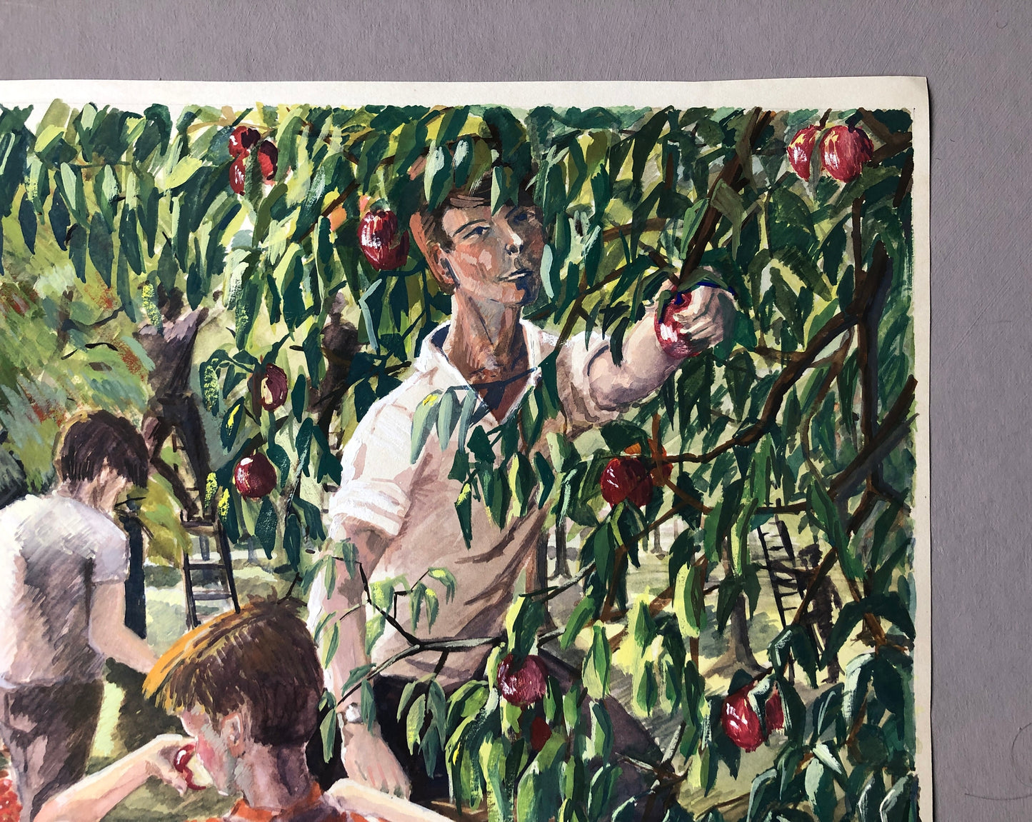 An Original Artwork Entitled The Apple Gatherers. An Examination Piece. Gouache. Unsigned. Likely 1960’s Size: 32.5 x 31.5 cms.