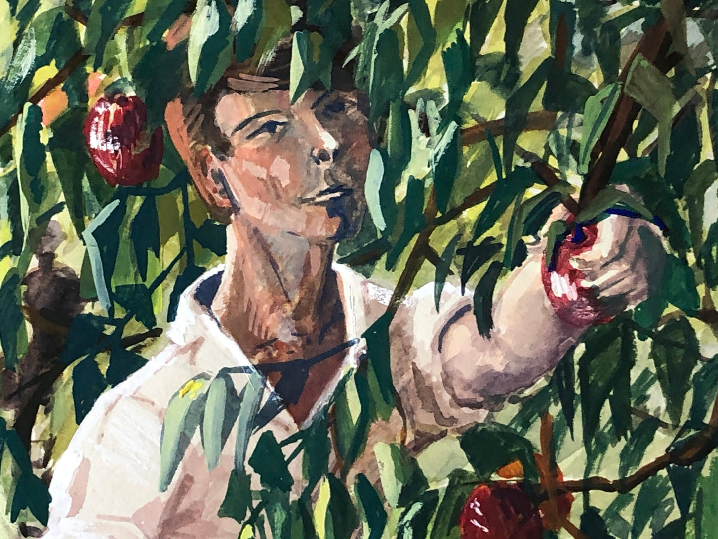 An Original Artwork Entitled The Apple Gatherers. An Examination Piece. Gouache. Unsigned. Likely 1960’s Size: 32.5 x 31.5 cms.