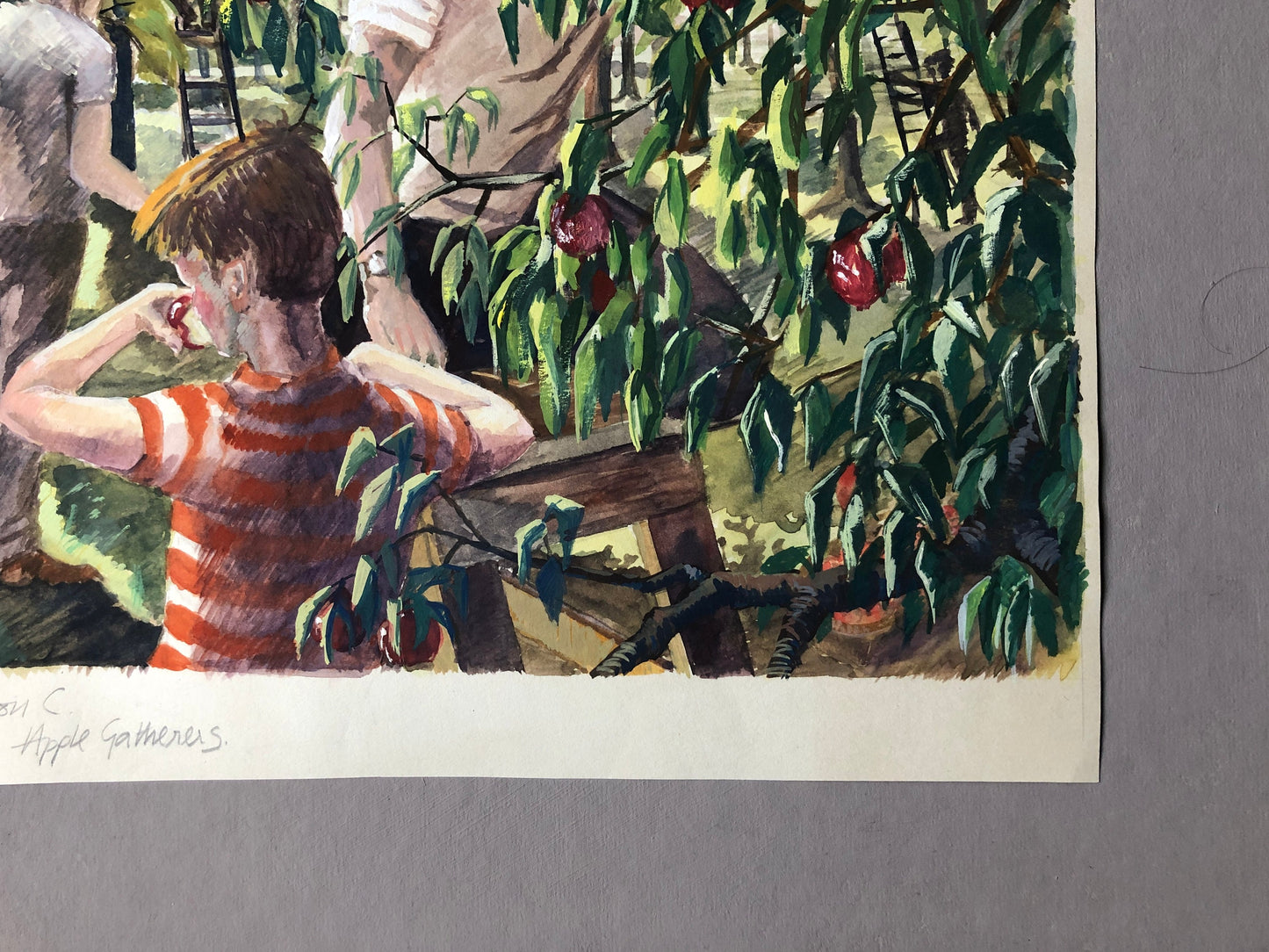 An Original Artwork Entitled The Apple Gatherers. An Examination Piece. Gouache. Unsigned. Likely 1960’s Size: 32.5 x 31.5 cms.