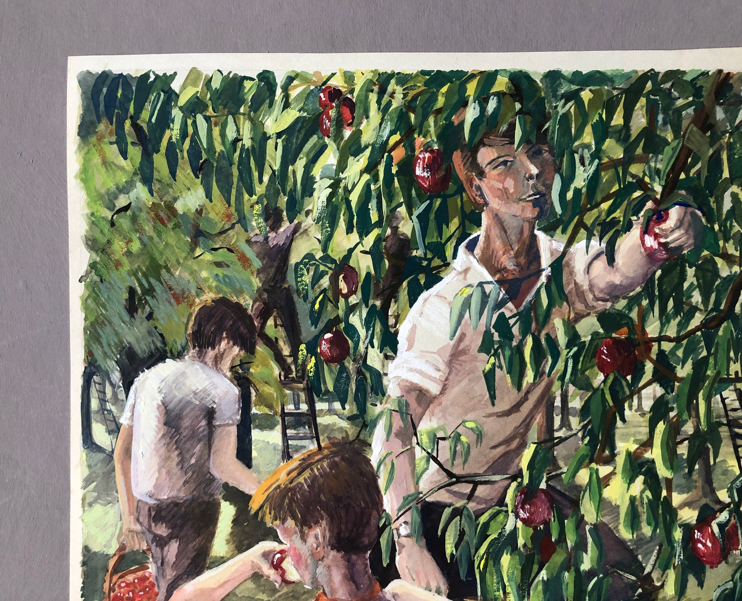 An Original Artwork Entitled The Apple Gatherers. An Examination Piece. Gouache. Unsigned. Likely 1960’s Size: 32.5 x 31.5 cms.