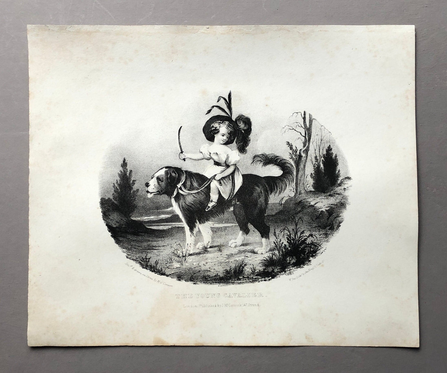 The Young Cavalier. An Original Georgian Engraving by M O’Connor. Published in London in the Early 1800’s. Size: 23 x 27.8cms.