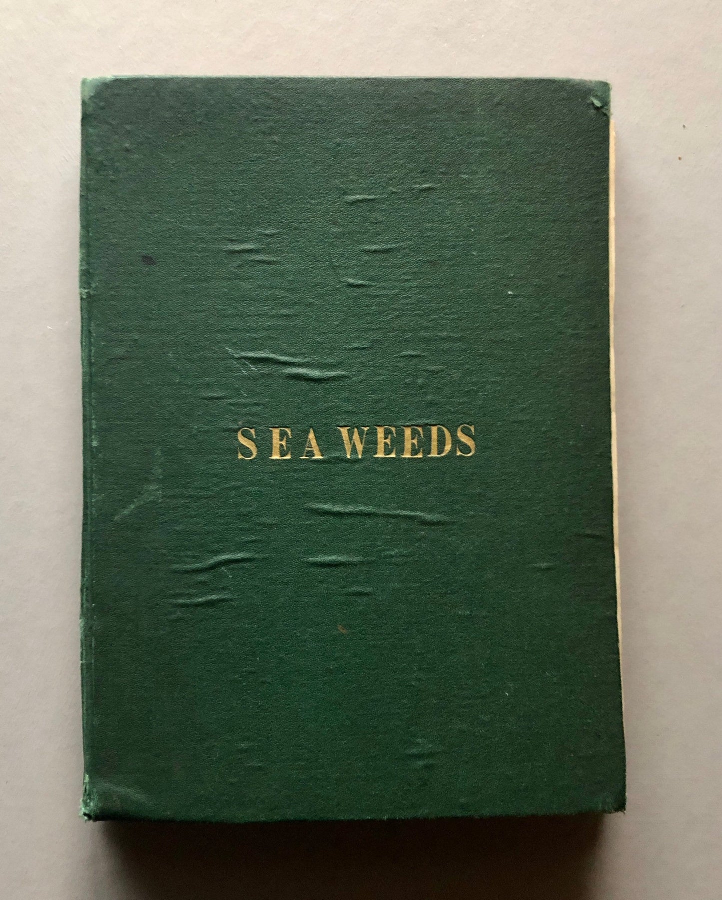 A Victorian Album Containing a Collection of 29 Seaweed. Samples size: