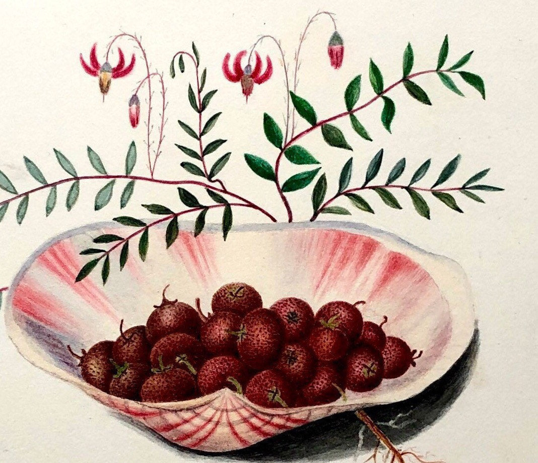 A Watercolour Painting by Amelia Sophia Davids of Kent. Undated But Known To Have Been Painted Around 1880. Size: 13.5 x 16 cms.