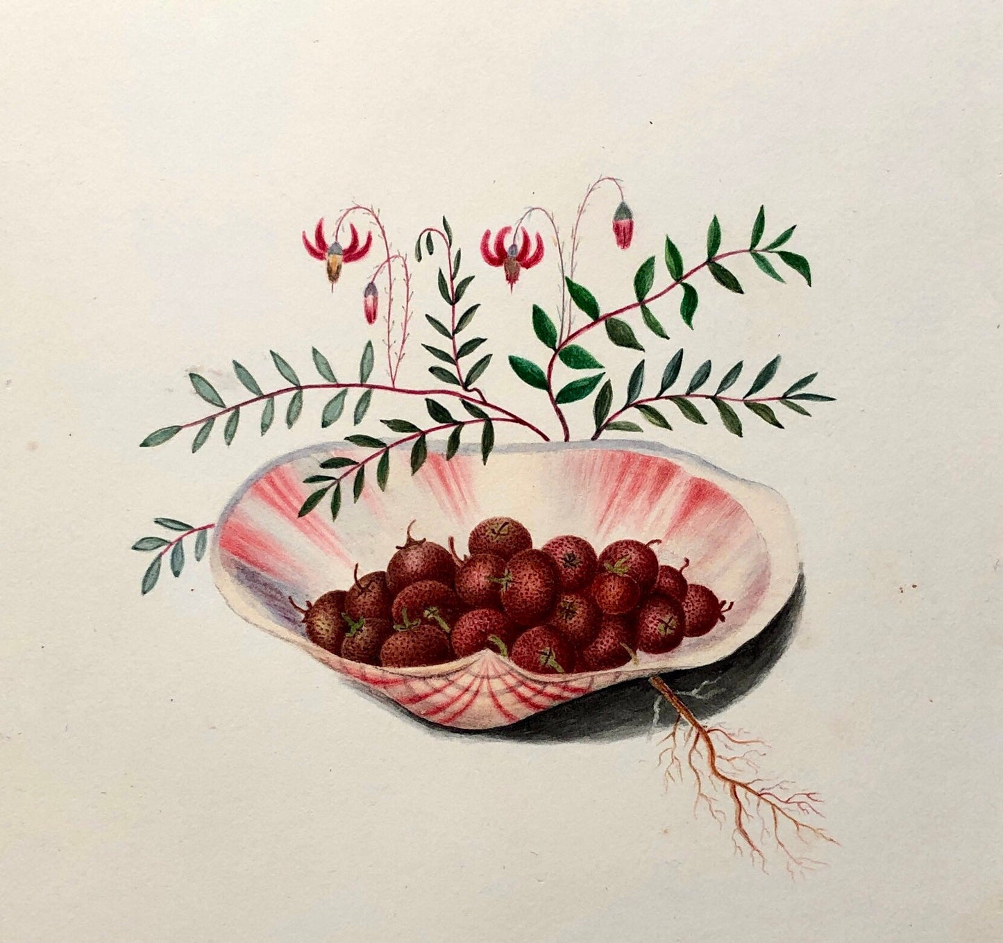 A Watercolour Painting by Amelia Sophia Davids of Kent. Undated But Known To Have Been Painted Around 1880. Size: 13.5 x 16 cms.