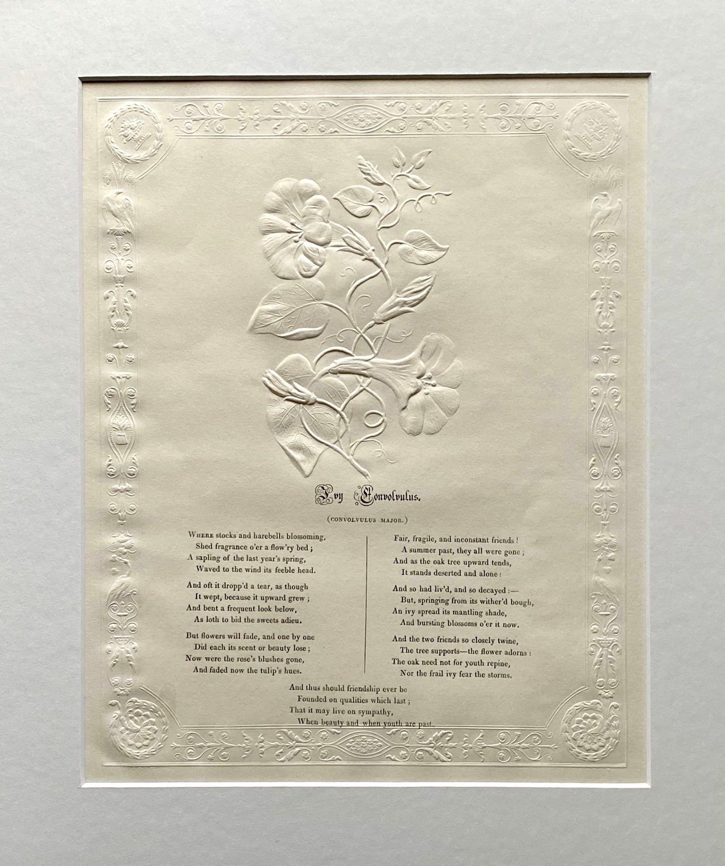 Ivy Convolvlus. An Antique Embossed Paper Image. With Poem in Black Script. Framed Using Clear Glass in a Limed Frame. Size: 35 x 30.5 cms.