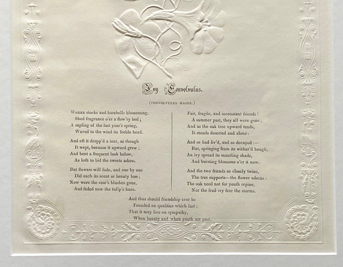 Ivy Convolvlus. An Antique Embossed Paper Image. With Poem in Black Script. Framed Using Clear Glass in a Limed Frame. Size: 35 x 30.5 cms.