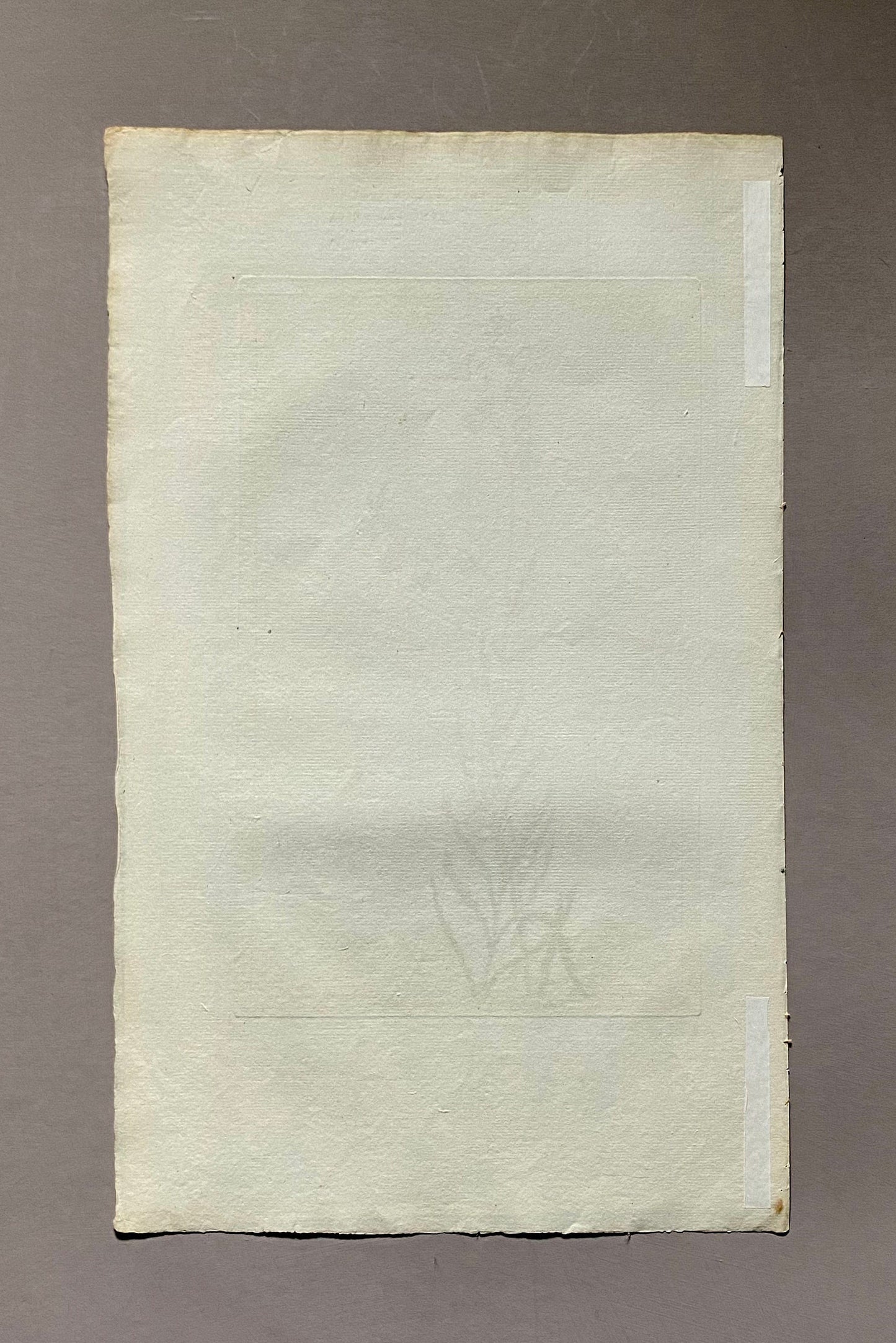 Lobelia traquetra. An Original Hand Coloured Copper Plate Engraving by Pierre Joseph Buchoz. 1770s. Size: 47.5 x 29 cms.