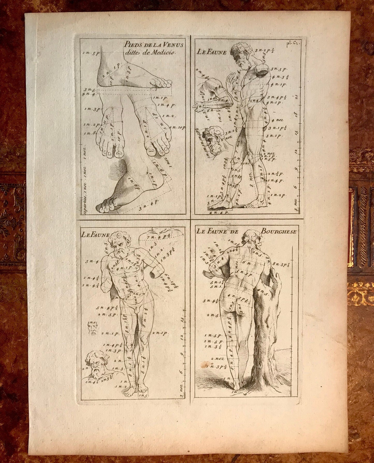An Original Engraving from the ‘Nouvelle Methode Pour Apprendre a Dessiner Sans Maitre”. French. 1740. Size 29 x23 cms