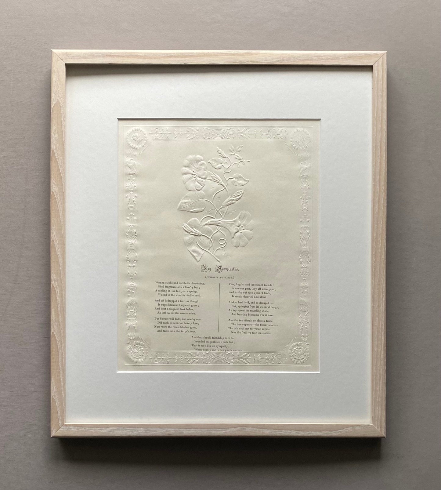 Ivy Convolvlus. An Antique Embossed Paper Image. With Poem in Black Script. Framed Using Clear Glass in a Limed Frame. Size: 35 x 30.5 cms.
