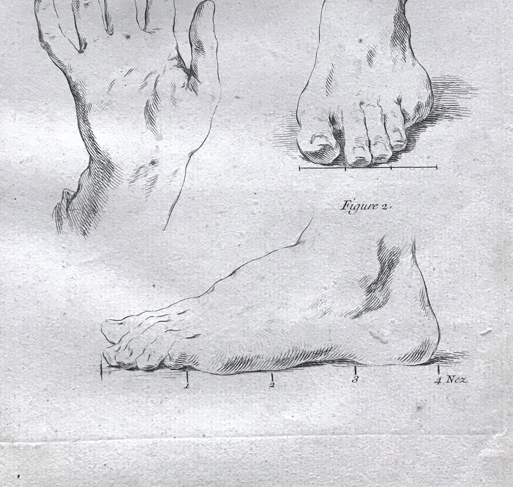 An Engraving from The ‘Nouvelle Methode Pour Apprendre a Dessiner Sans Maitre”. French. 1740. Size 29 x23 cms