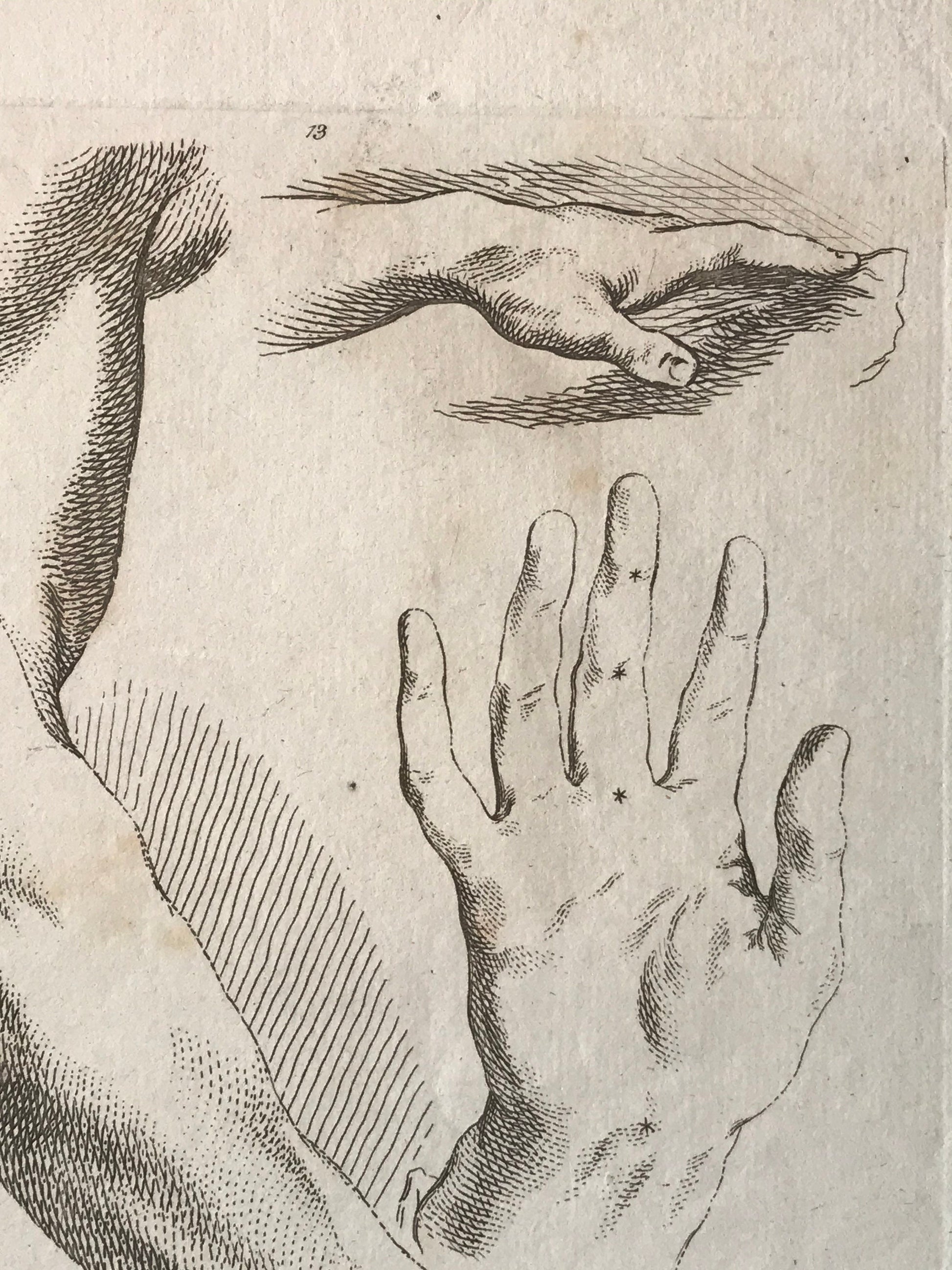 An Engraving from The ‘Nouvelle Methode Pour Apprendre a Dessiner Sans Maitre”. French. 1740. Size 29 x23 cms