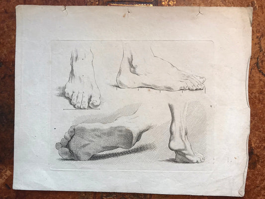 An Engraving from The’Nouvelle Methode Pour Apprendre a Dessiner Sans Maitre”. French. 1740. Size 29 x23 cms