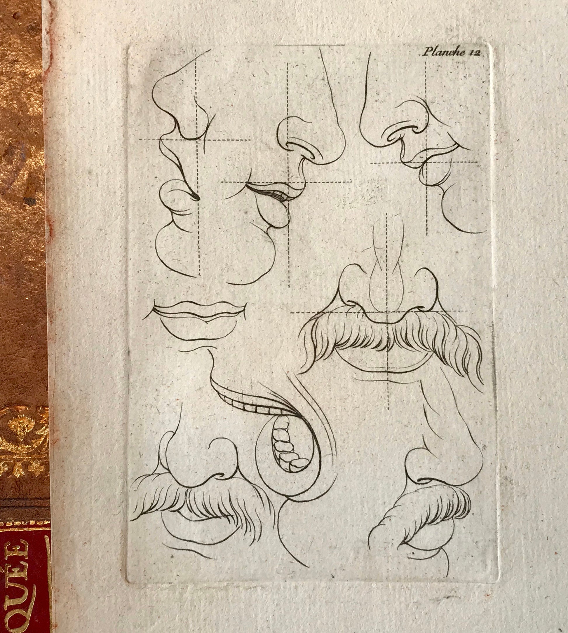 An Engraving from the ‘Nouvelle Methode Pour Apprendre a Dessiner Sans Maitre”. French. 1740. Size 29 x23 cms