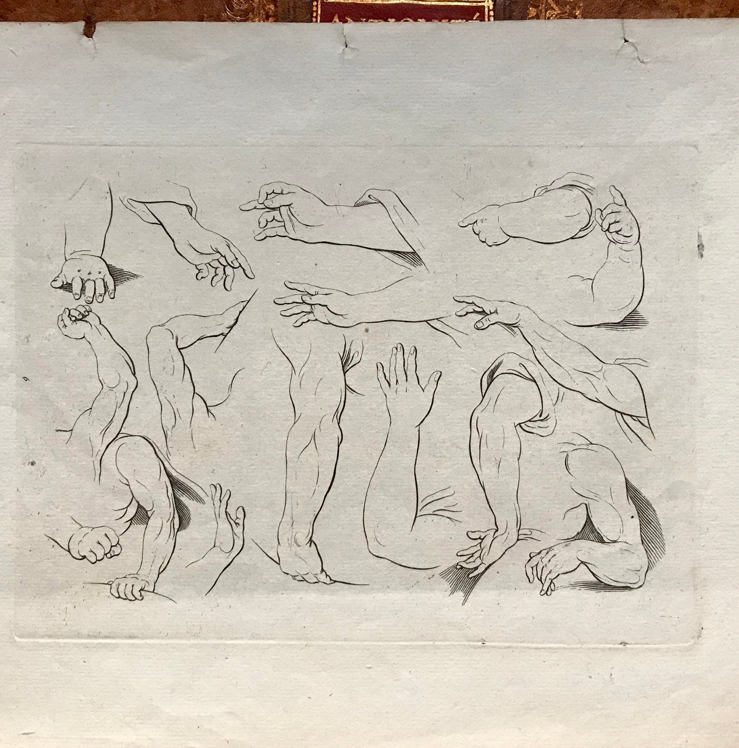 Two Original Engravings from The ‘Nouvelle Methode Pour Apprendre a Dessiner Sans Maitre”. French. 1740. Size 29 x23 cms