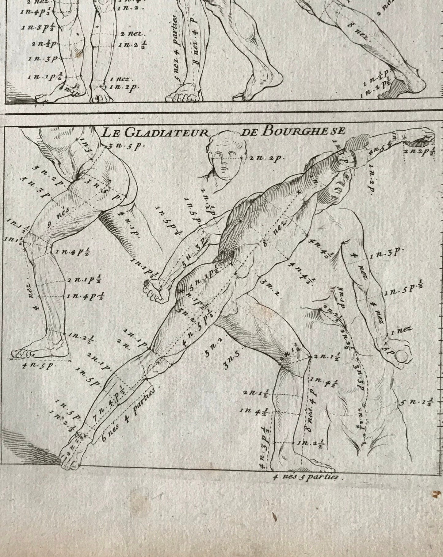 An Original Engraving from The ‘Nouvelle Methode Pour Apprendre a Dessiner Sans Maitre”. French. 1740. Size 29 x23 cms
