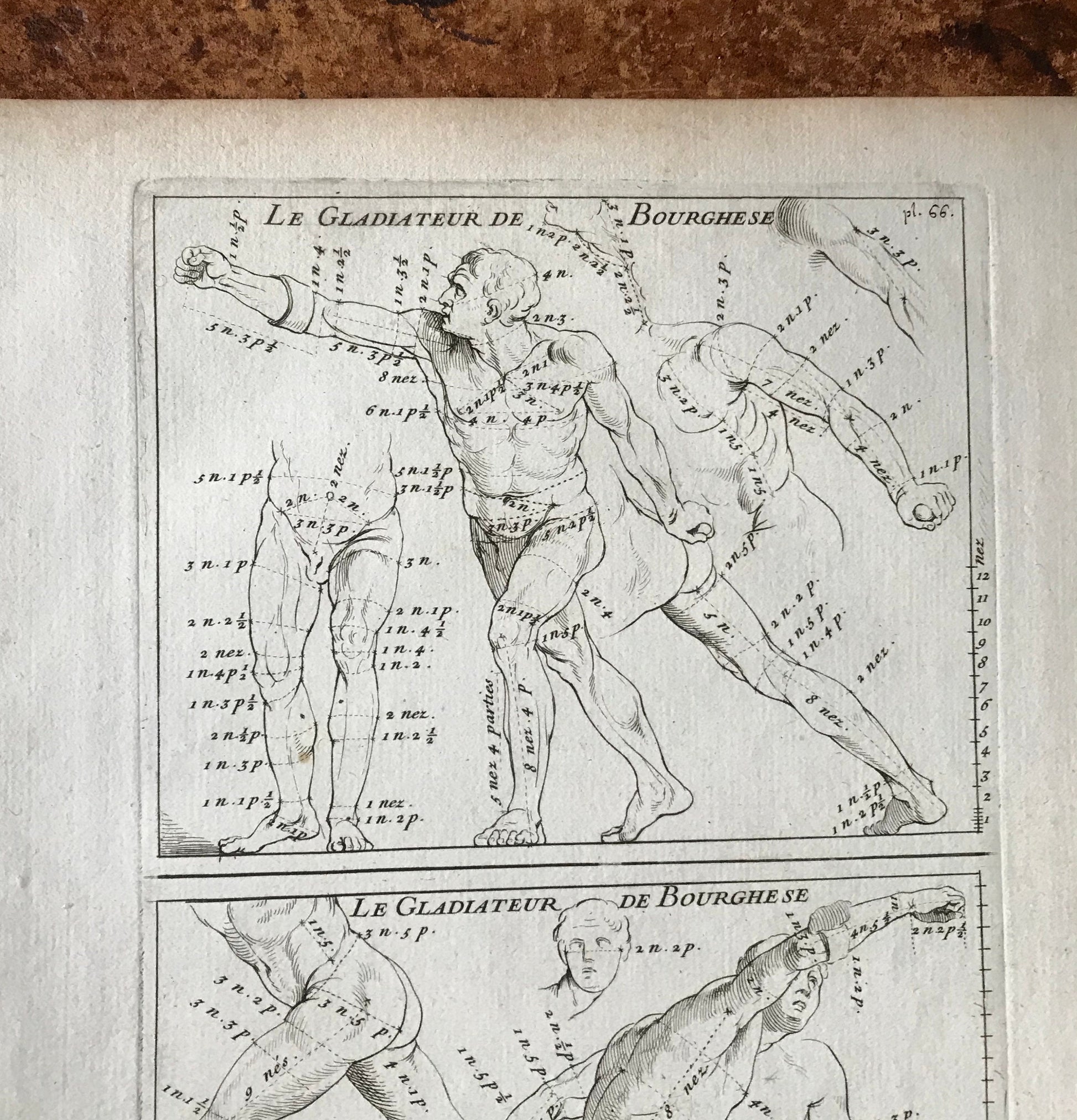 An Original Engraving from The ‘Nouvelle Methode Pour Apprendre a Dessiner Sans Maitre”. French. 1740. Size 29 x23 cms