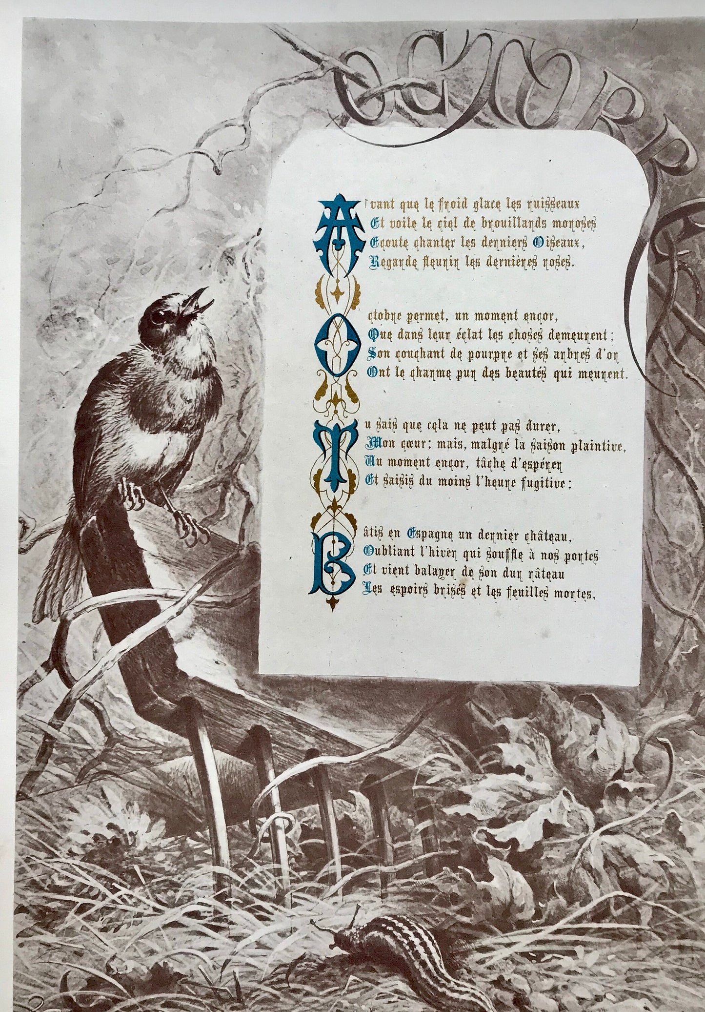 Les Mois. The Months. A Collection of 12 Illustrated Poems by Francois Coppee. Engravings by H. Giacamelli. Large format: 54 x 37 cms.